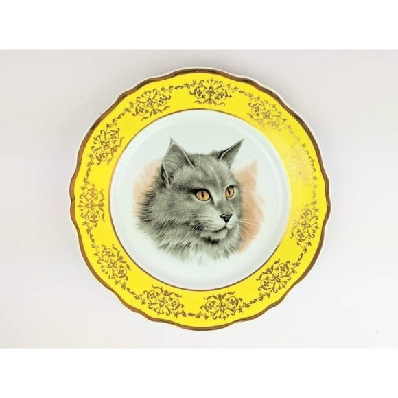 White Porcelain Cat Portrait Plate | Kitty Picture Yellow Border Collectible 10" - Picture 1 of 10